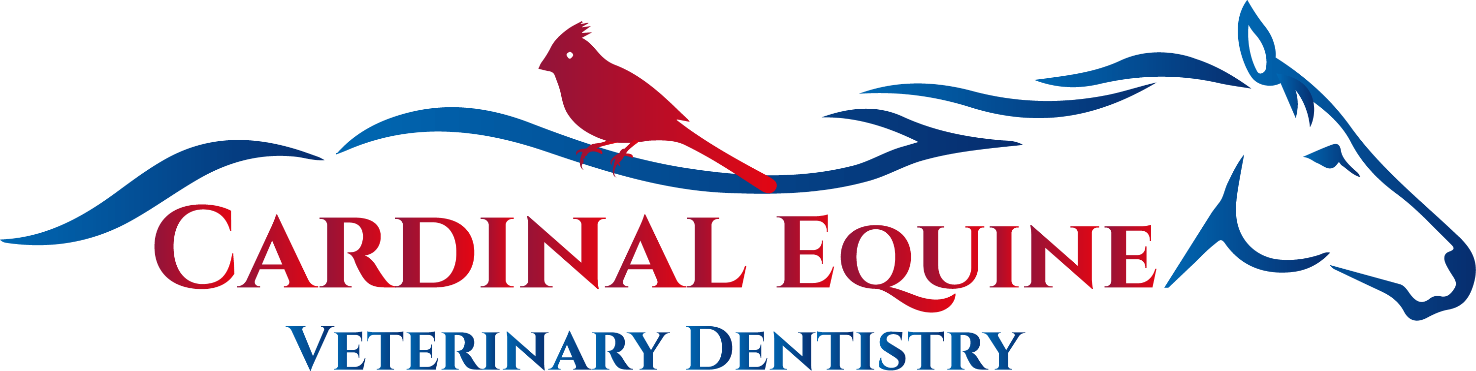 Cardinal Equine Veterinary Dentistry